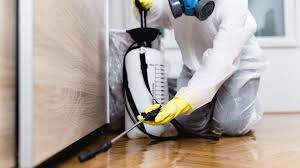 Best Fumigation Services  in Princeton, KY